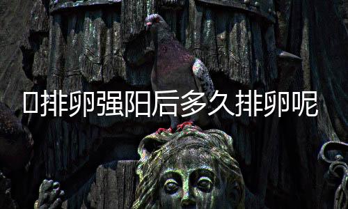 排卵强阳后多久排卵呢
