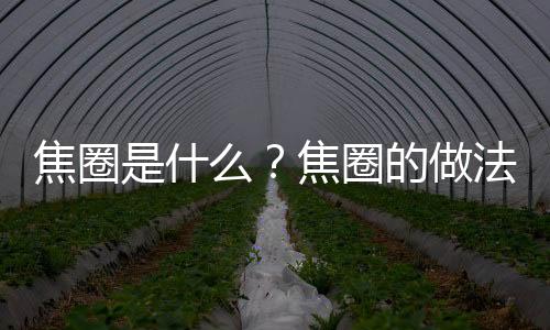 焦圈是什么?焦圈的做法