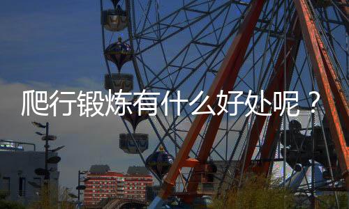 爬行锻炼有什么好处呢?
