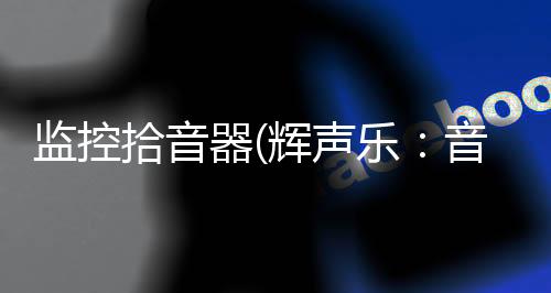 监控拾音器(辉声乐:音频监控叫好又叫座 核心部件拾音器怎么装?)