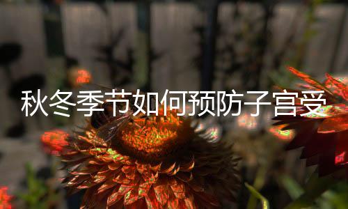 秋冬季节如何预防子宫受寒?