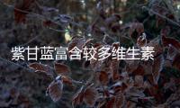 紫甘蓝富含较多维生素 紫甘蓝六种美味做法