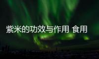 紫米的功效与作用 食用之后增添饱腹感控制体重