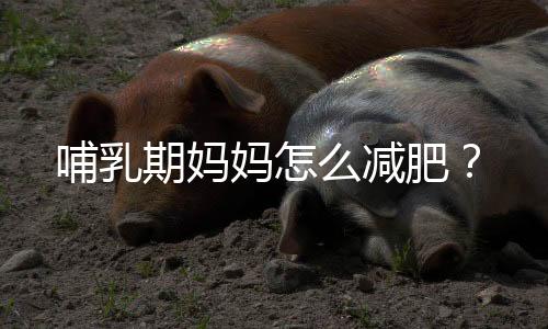 哺乳期妈妈怎么减肥?