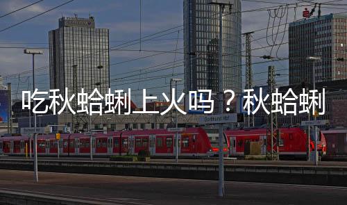 吃秋蛤蜊上火吗？秋蛤蜊的营养价值有哪些