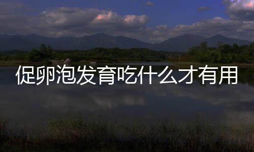 促卵泡发育吃什么才有用?