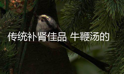传统补肾佳品 牛鞭汤的功效！