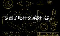 感冒了吃什么菜好 治疗感冒的食疗方