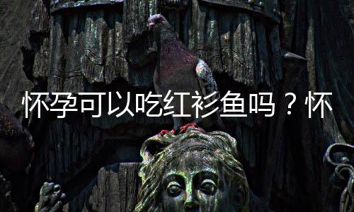 怀孕可以吃红衫鱼吗?怀孕吃什么比较好