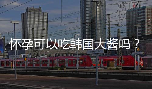 怀孕可以吃韩国大酱吗?怀孕吃什么比较好