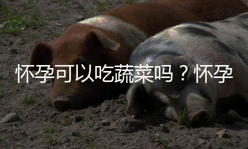 怀孕可以吃蔬菜吗？怀孕吃什么比较好