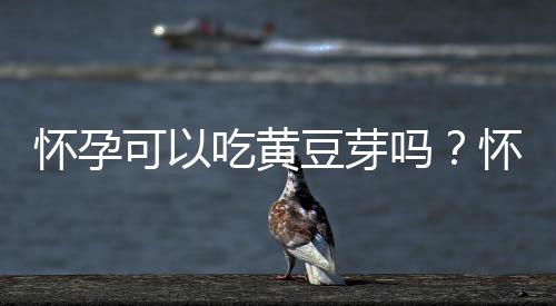 怀孕可以吃黄豆芽吗?怀孕吃什么比较好
