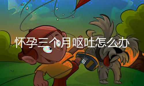 怀孕三个月呕吐怎么办