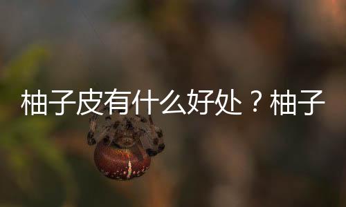 柚子皮有什么好处?柚子皮的功效与作用