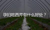 孕妇吃西芹有什么好处？孕妇吃西芹的做法