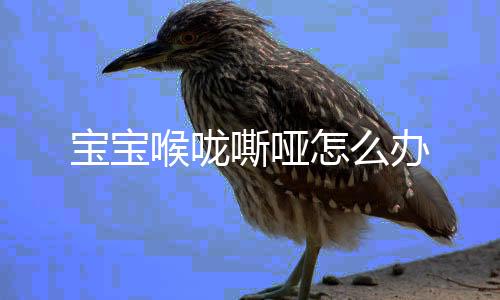 宝宝喉咙嘶哑怎么办