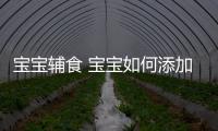 宝宝辅食 宝宝如何添加辅食？