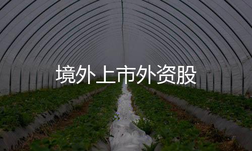 境外上市外资股
