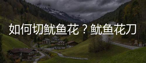 如何切鱿鱼花?鱿鱼花刀怎么切