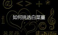 如何挑选白菜薹