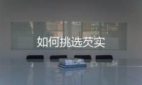 如何挑选芡实
