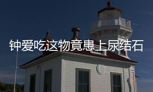钟爱吃这物竟患上尿结石伤了健康!