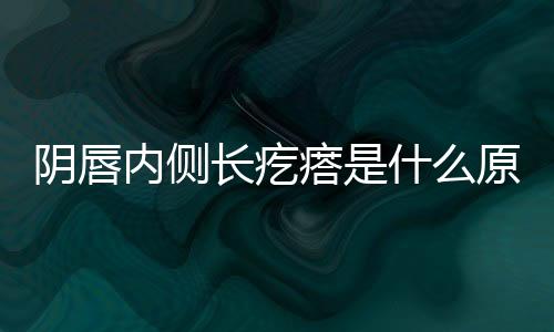 阴唇内侧长疙瘩是什么原因