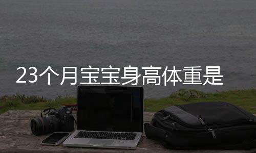 23个月宝宝身高体重是多少?